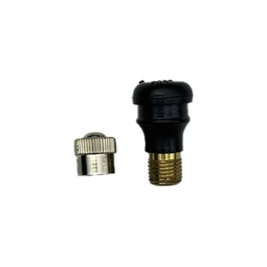 Valve tubeless Droite...