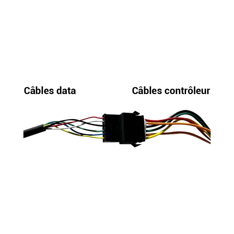 Kit controleur display câble Liviae 48v 23A